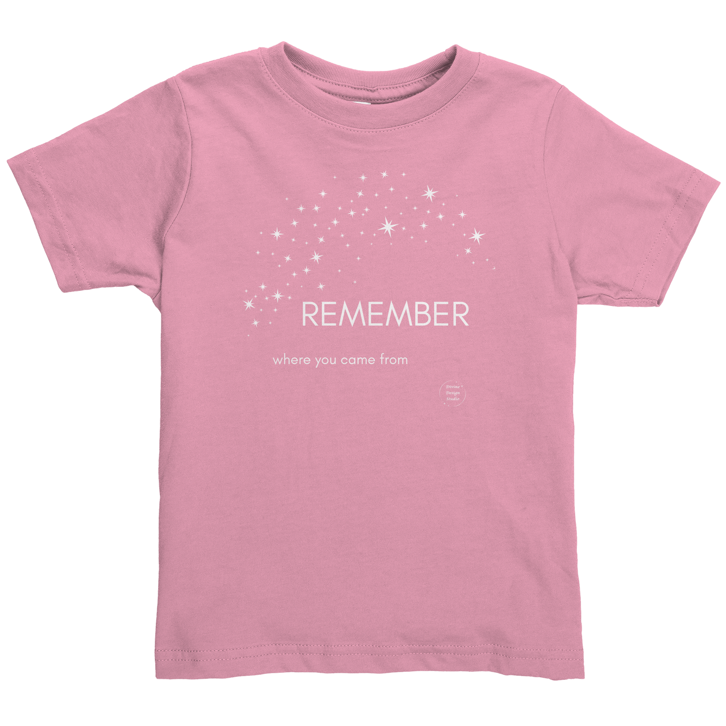 Rabbit_Skin_Soft_Toddler_Tee_-_REMEMBER_Pink_Mockup.png