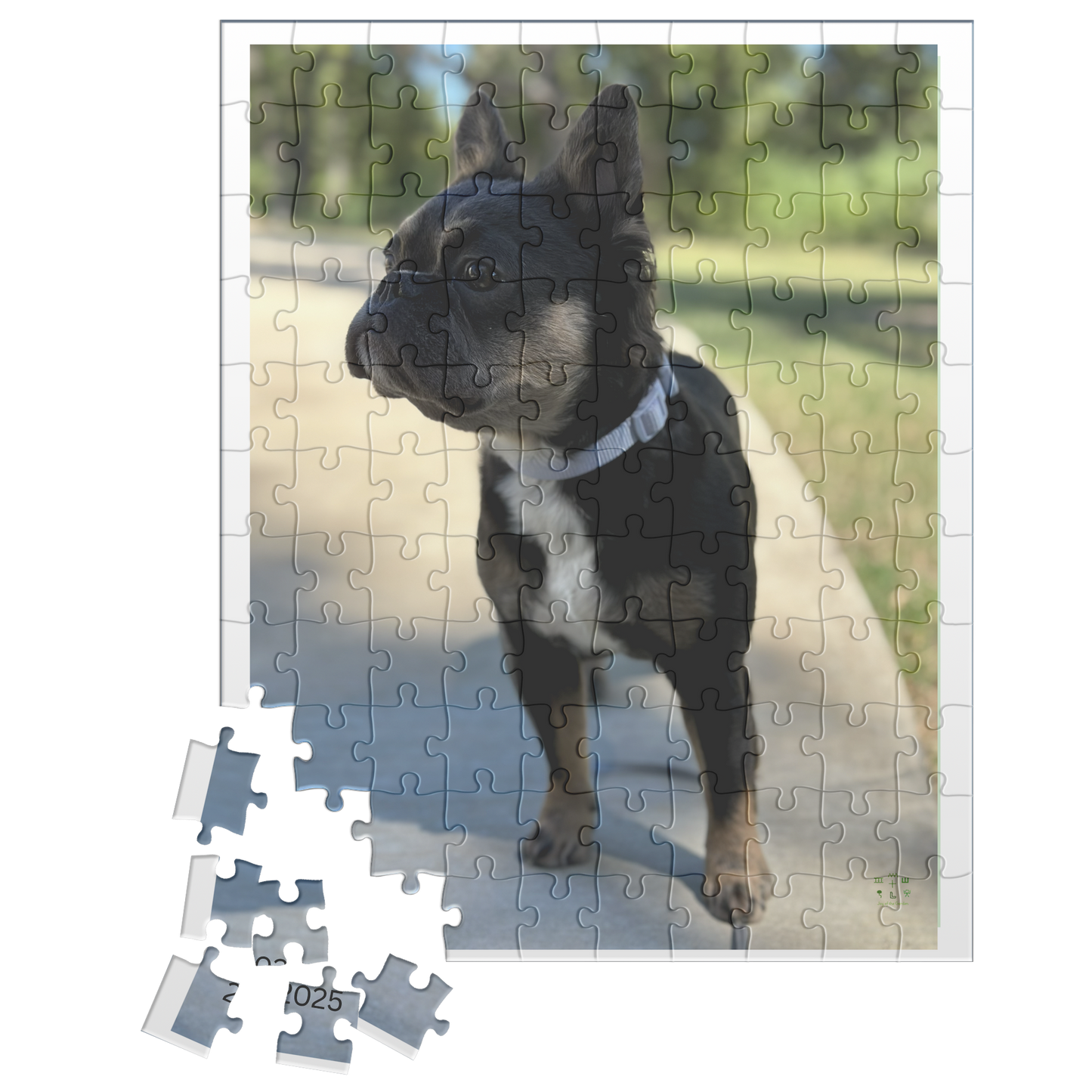 Frenchie_Bear_Poised_for_Action_110pc_V_Loose_Mockup.png