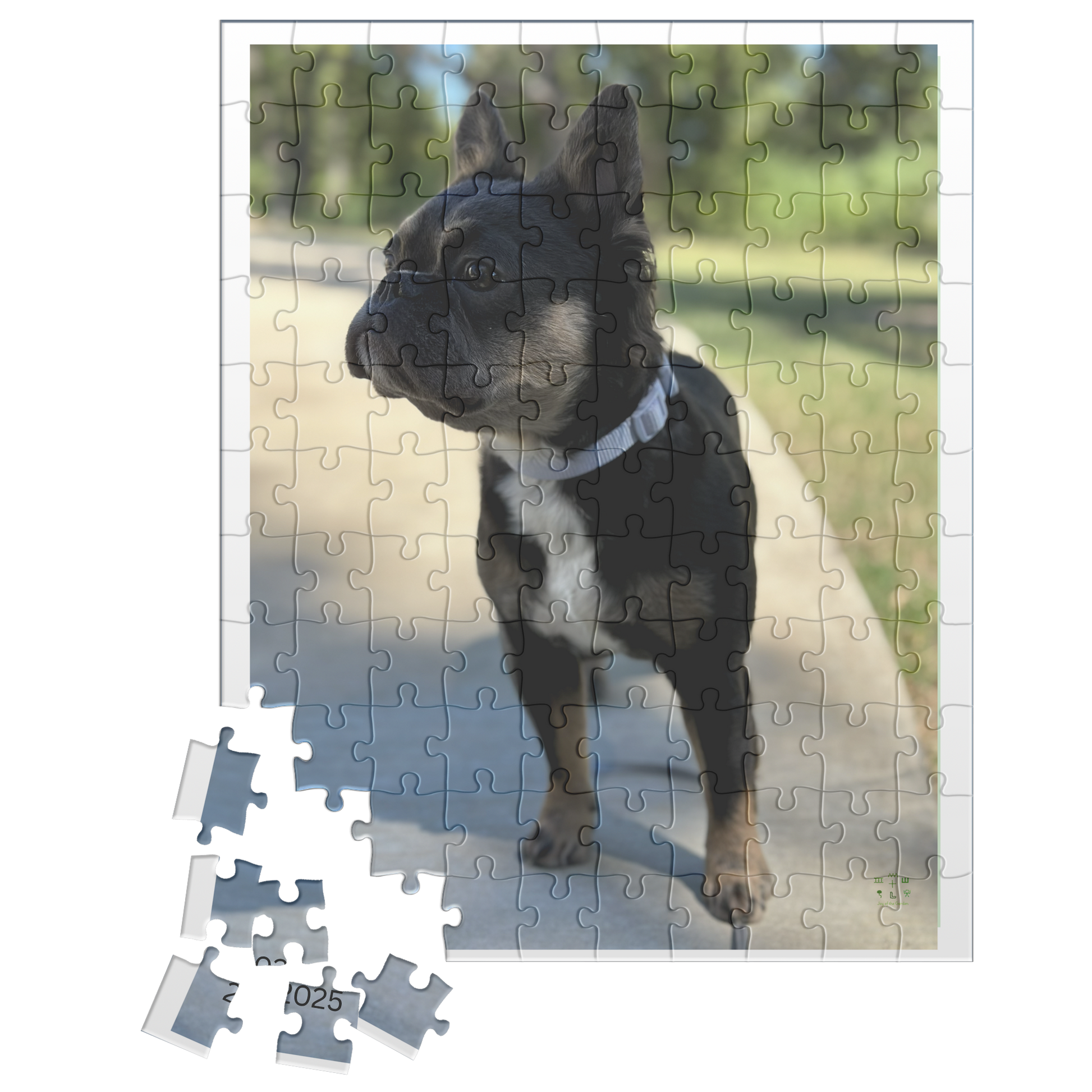Frenchie_Bear_Poised_for_Action_110pc_V_Loose_Mockup.png