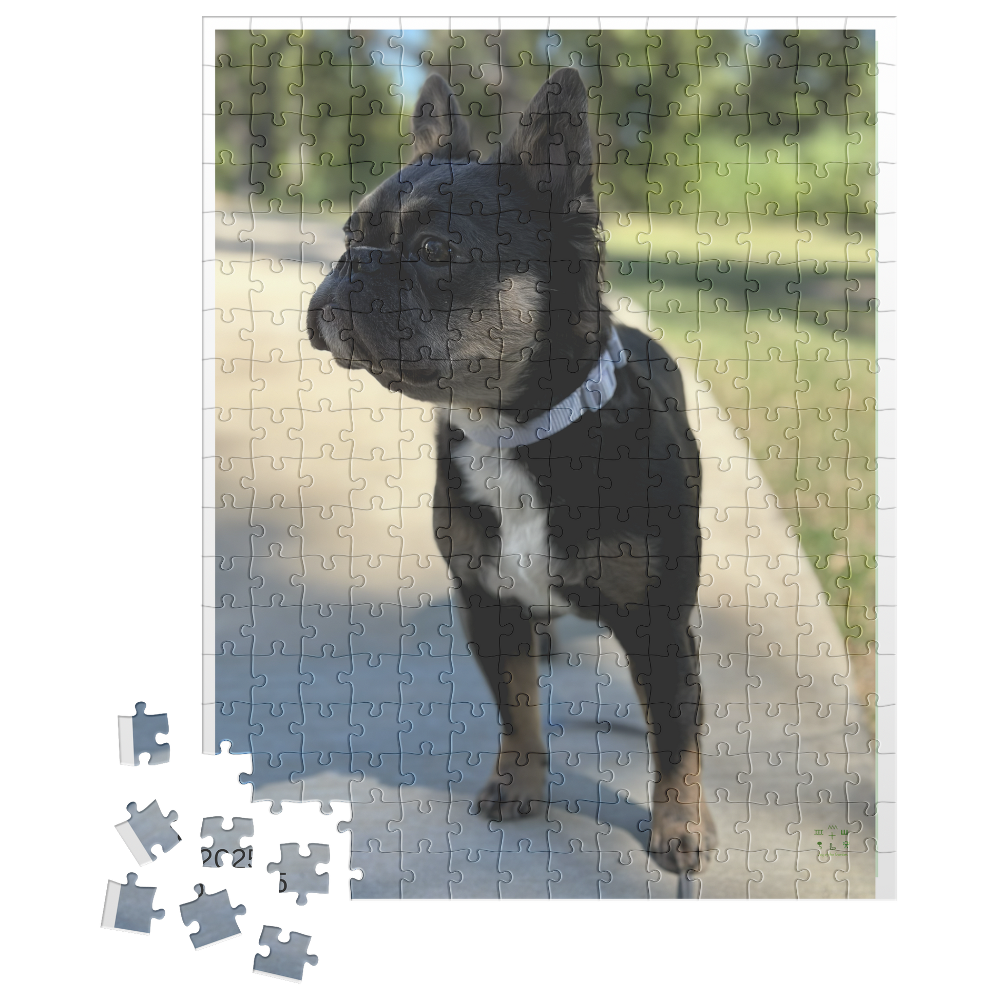 Frenchie_Bear_Poised_for_Action_252pc_V_Loose_Mockup.png