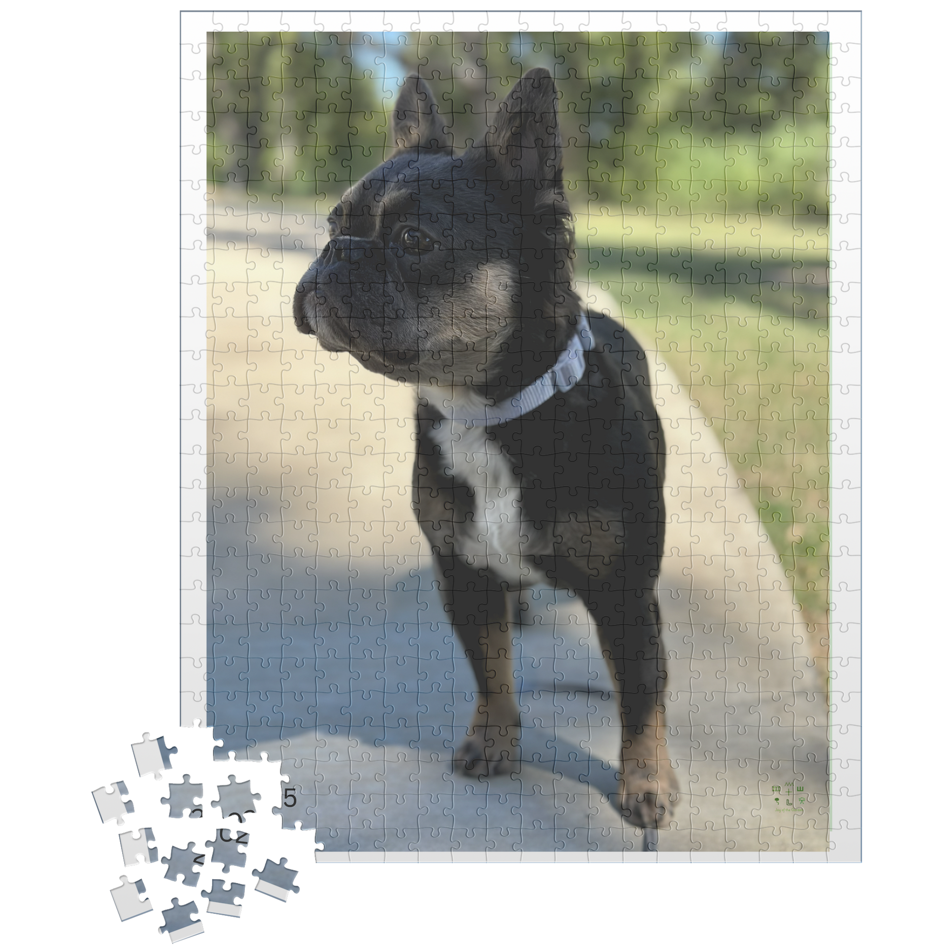 Frenchie_Bear_Poised_for_Action_500pc_V_Loose_Mockup.png