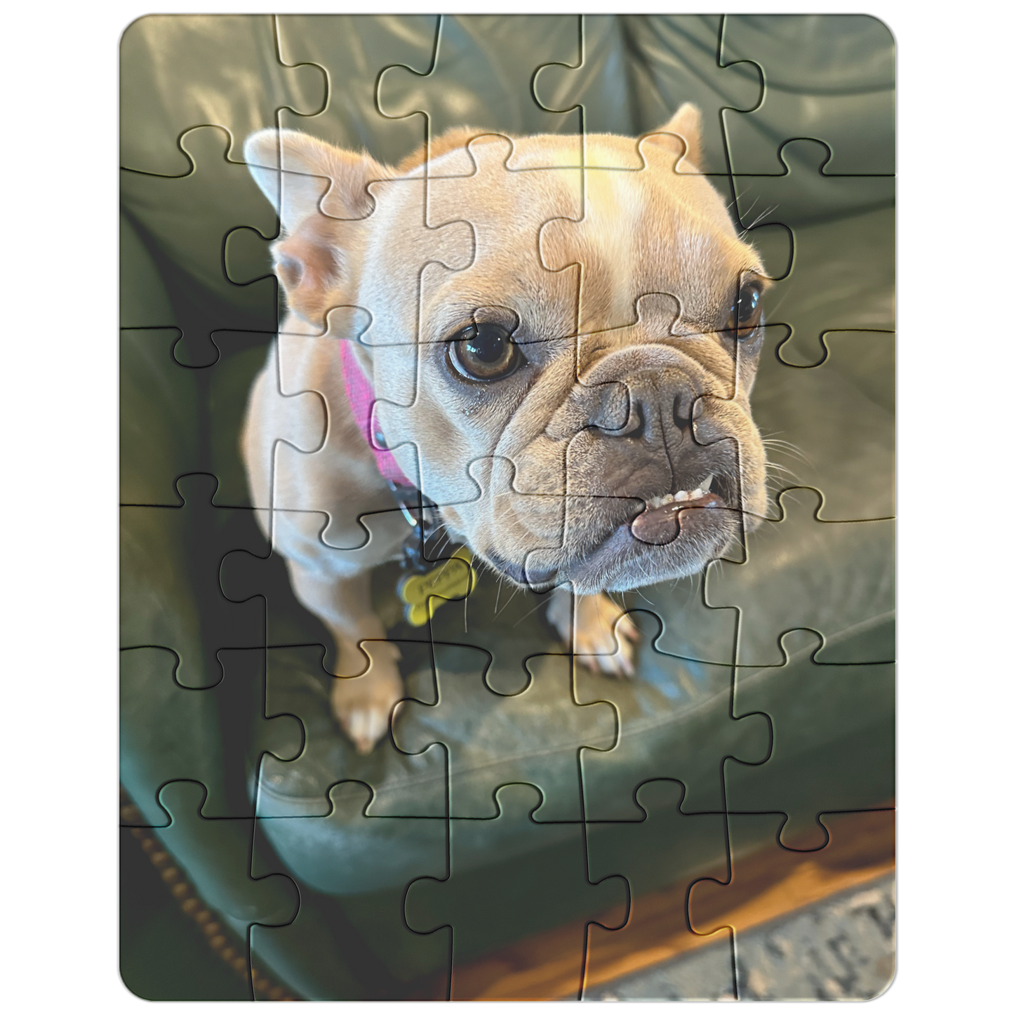 Good_Dog_Peppa_Puzzle_30pc_V_Main_Mockup.png